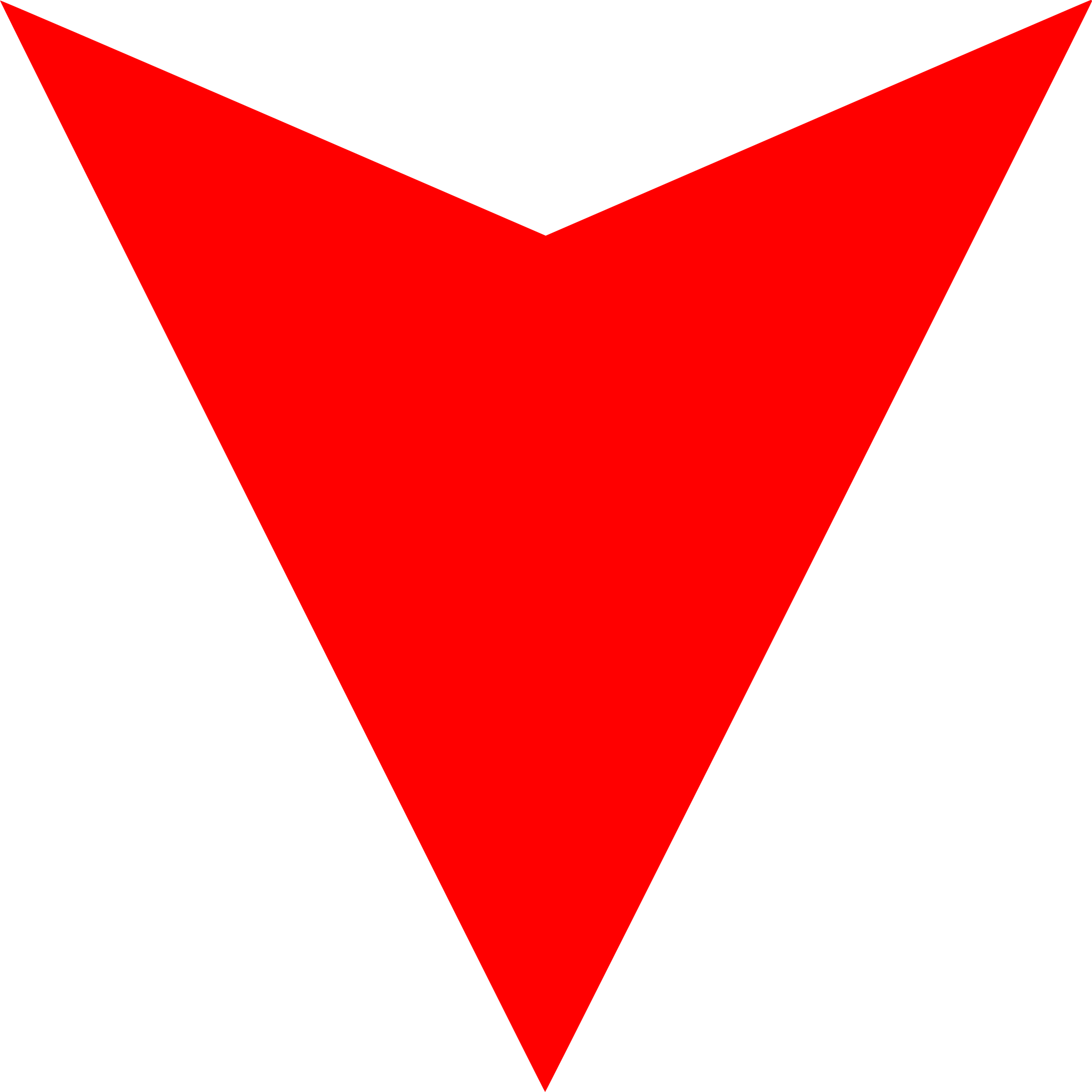 Pan Bačkor pointer